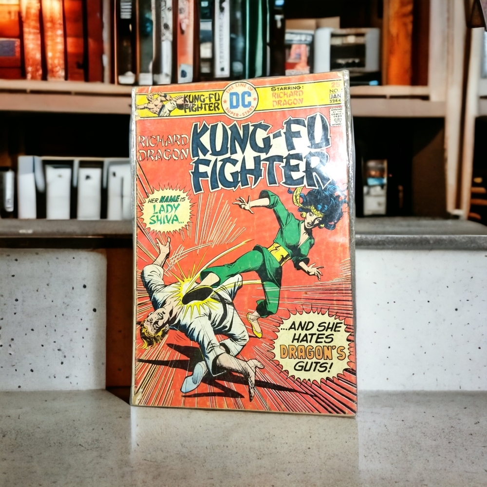 Richard Dragon, Kung-Fu Fighter #5